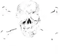  FC ST. Pauli Gutscheincodes